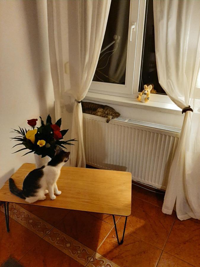 Piccola Italia Casa Racovita คลูจ-นาโปกา ภายนอก รูปภาพ